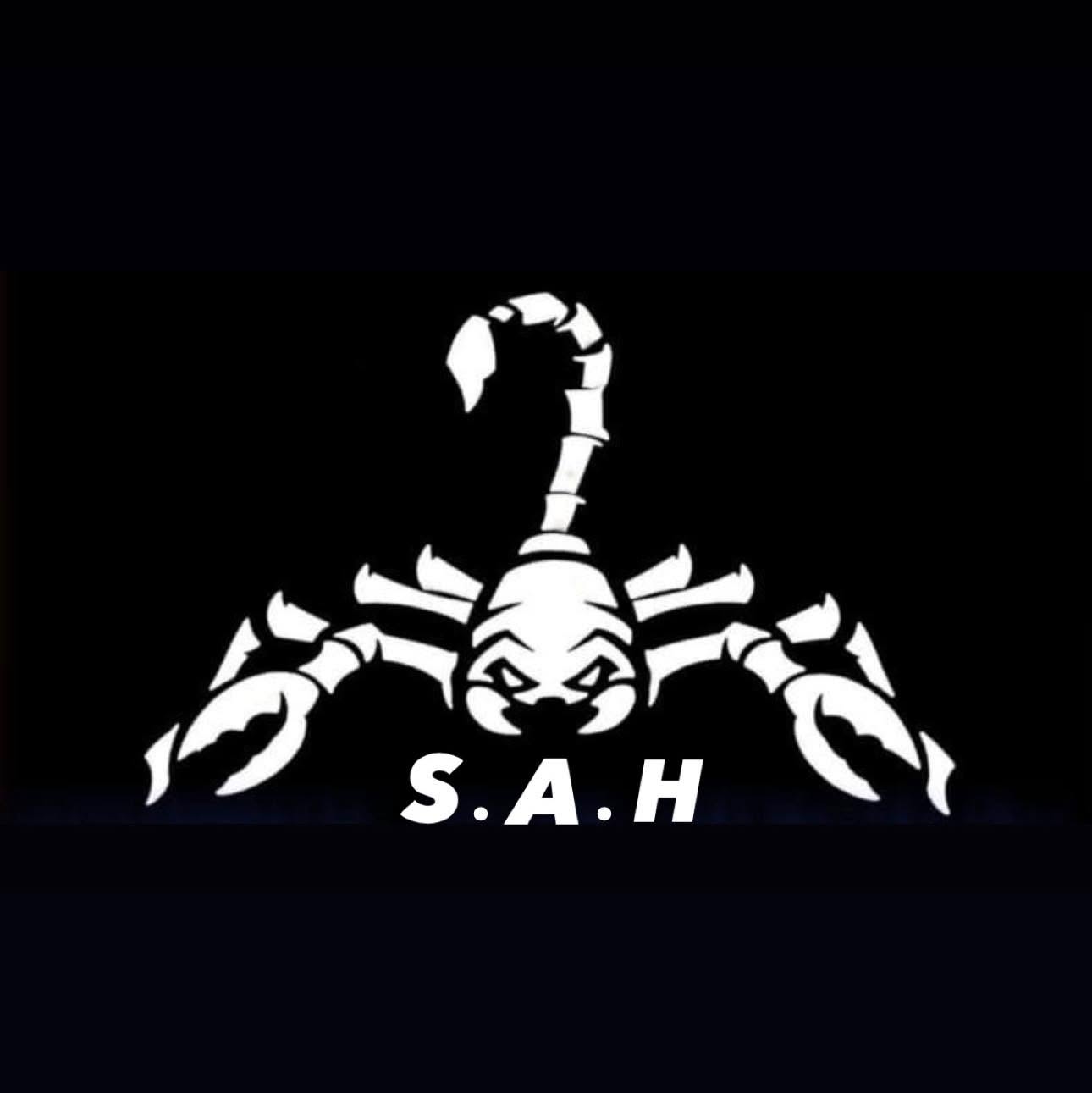 Scorpion Academy Hurghada